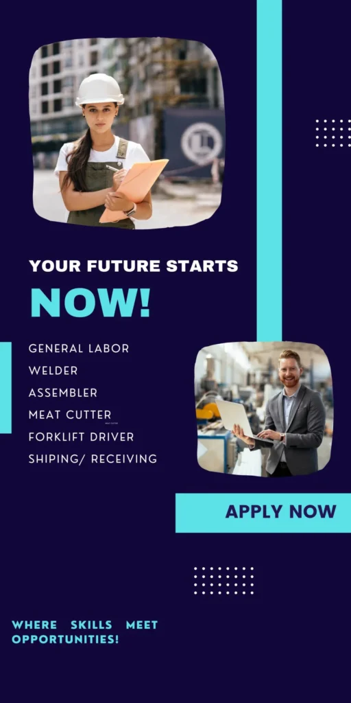 vistastaffinginc service introduction banner